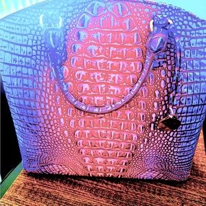 Beautiful Brahmin Purse